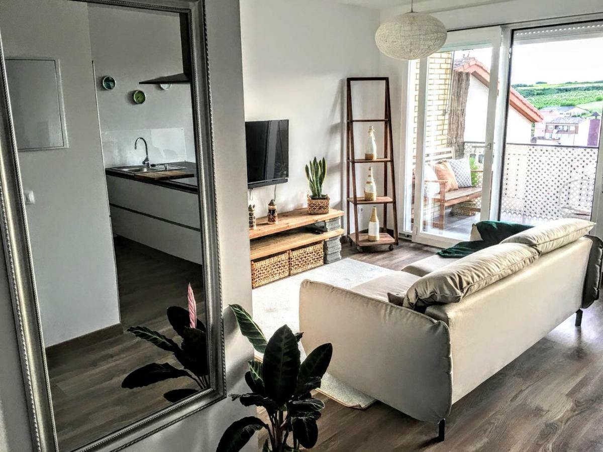 Apartamento Gaztainondoak Lanciego Exteriör bild